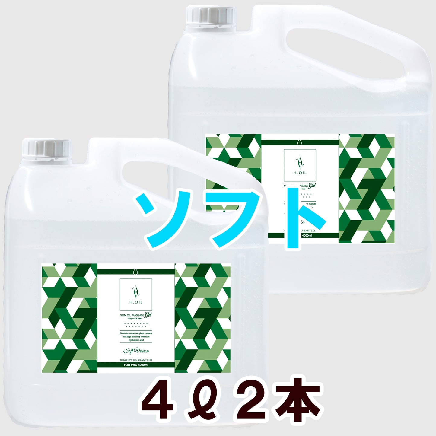 4Ｌ(5.0kg)：2本【ソフト】